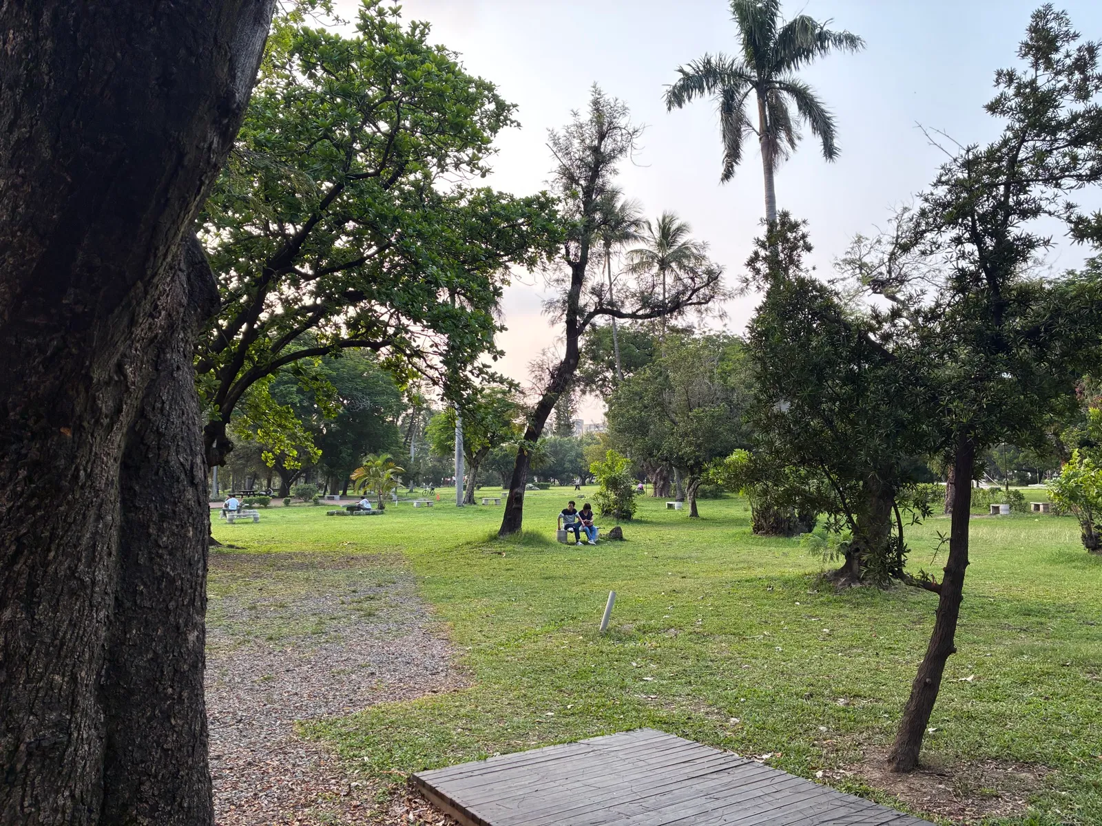 広々とした公園