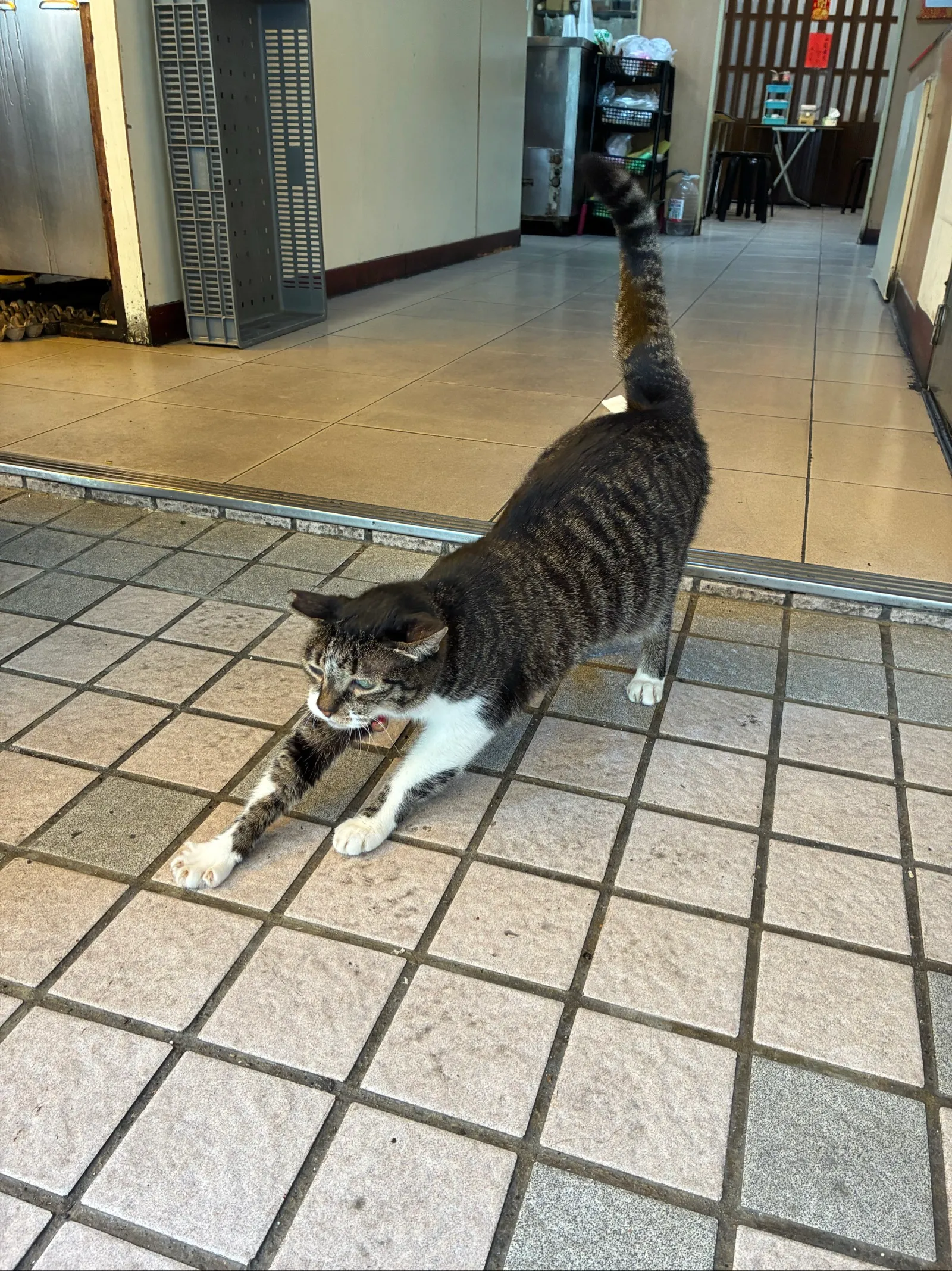 レストランでの食事