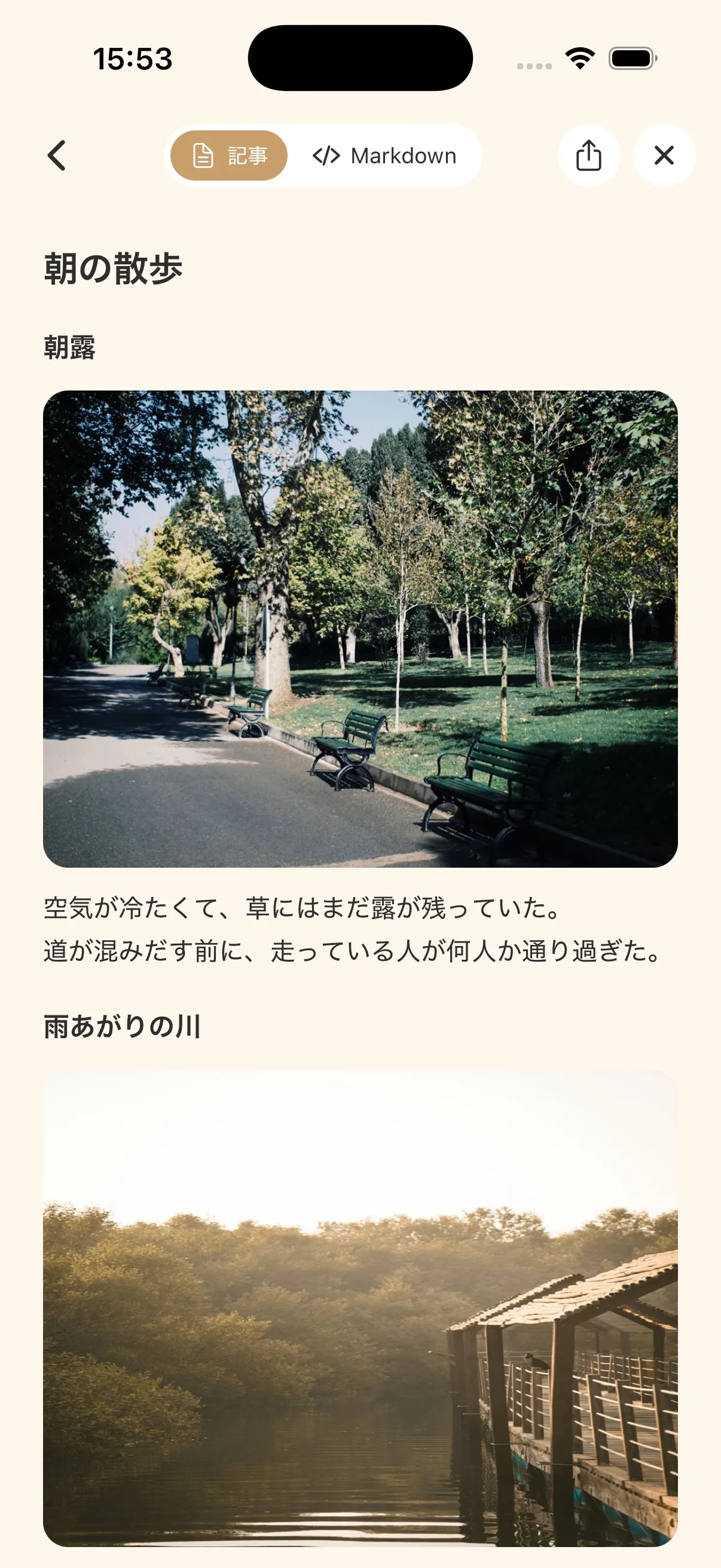 記事プレビュー画面。見出しと写真、本文が並び、記事とMarkdownを切り替えられる